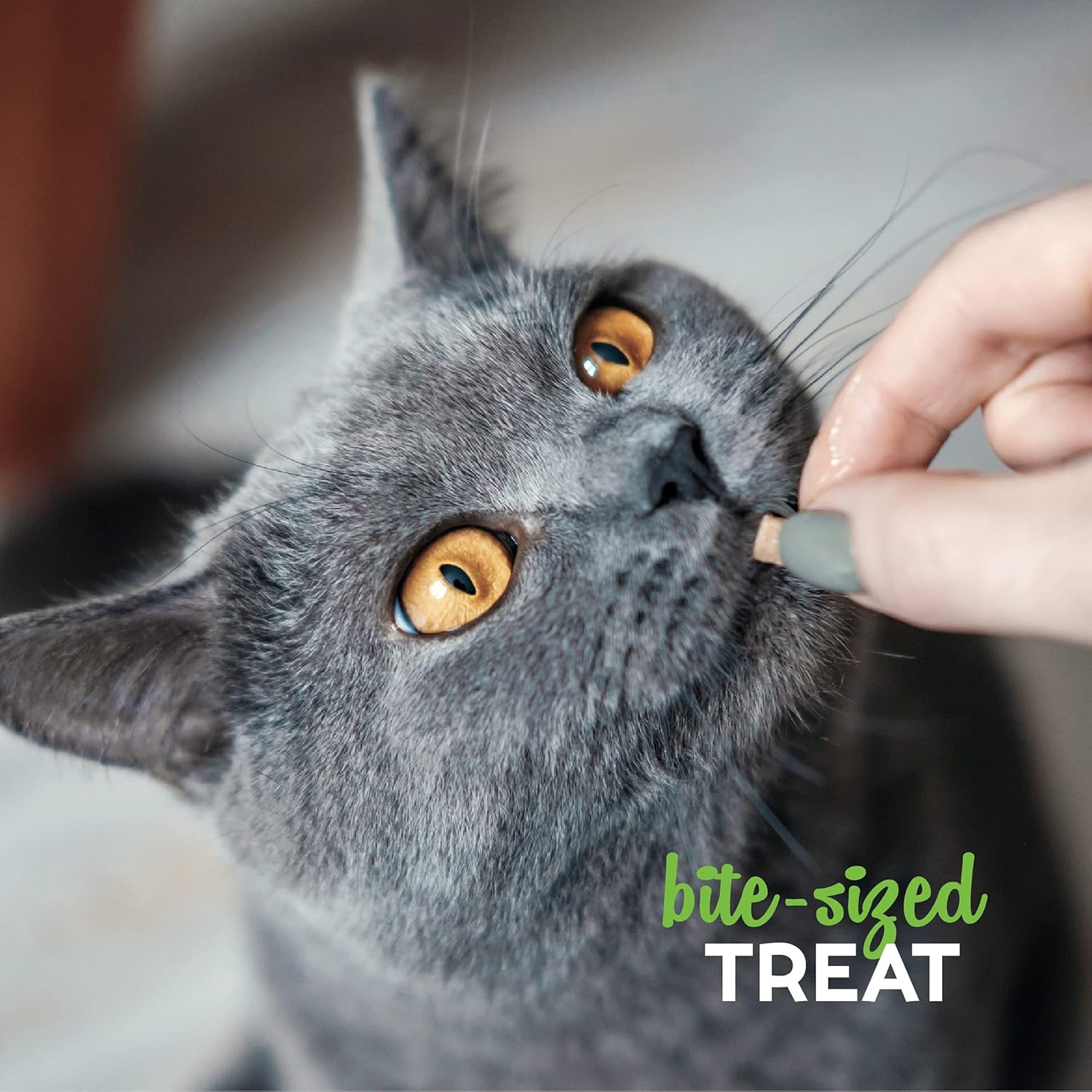 🐾 Naturally Purrr-fect Treats for Your Feline Friend! 😺✨